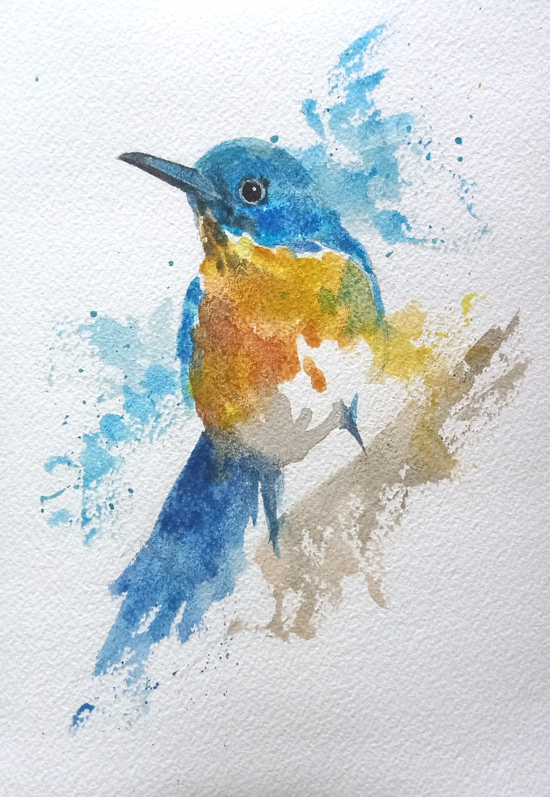 Uccellino testa blu